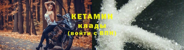 ПСИЛОЦИБИНОВЫЕ ГРИБЫ Осинники