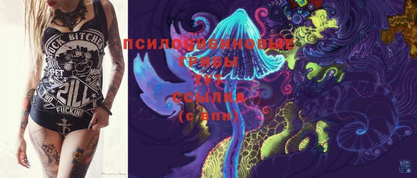 прущая мука Алзамай